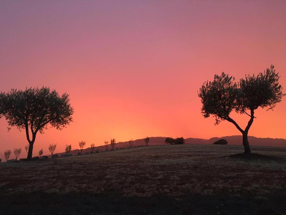 Pianderna Agriwellness Villa Scandiano Bagian luar foto